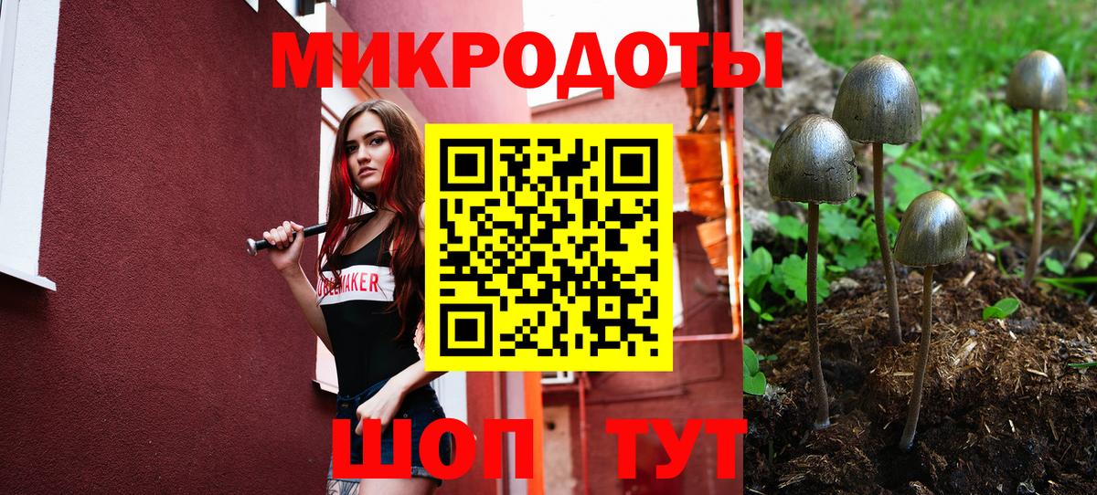 Псилоцибиновые грибы прущие грибы Петропавловск-Камчатский